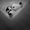 それぞれの想い