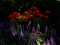樹下に咲く