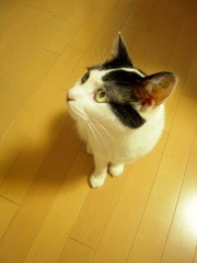 何だろ