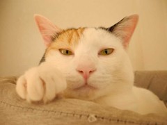 存在感