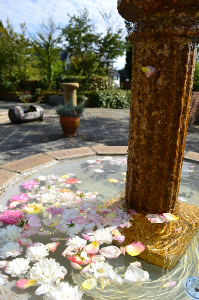 花の泉
