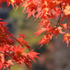 香嵐渓６