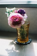 NoTitle