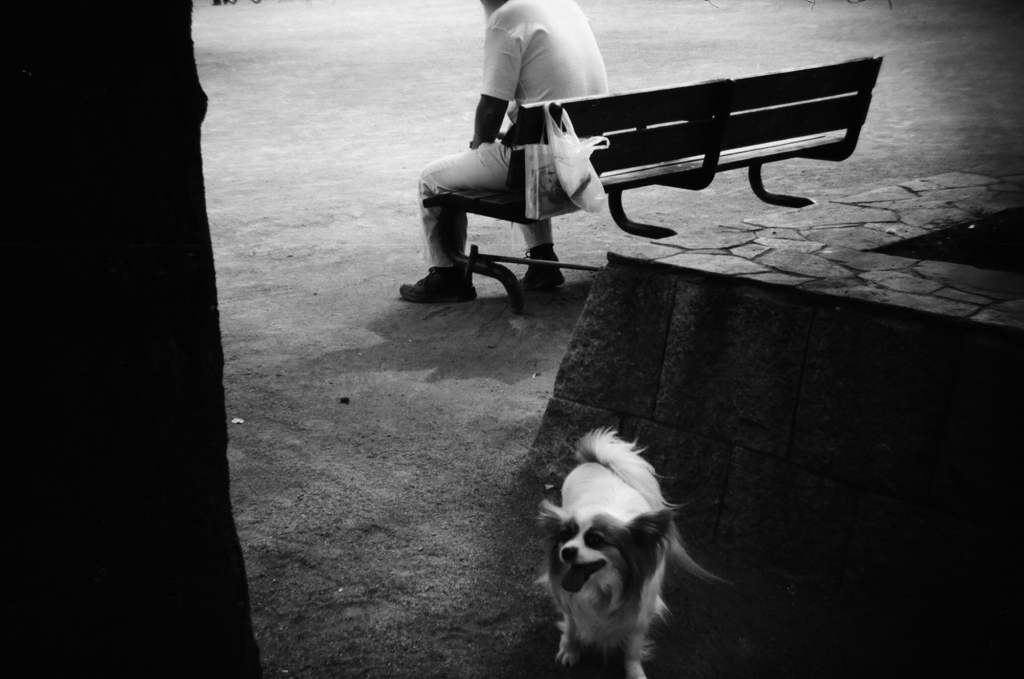 おじいさんと犬