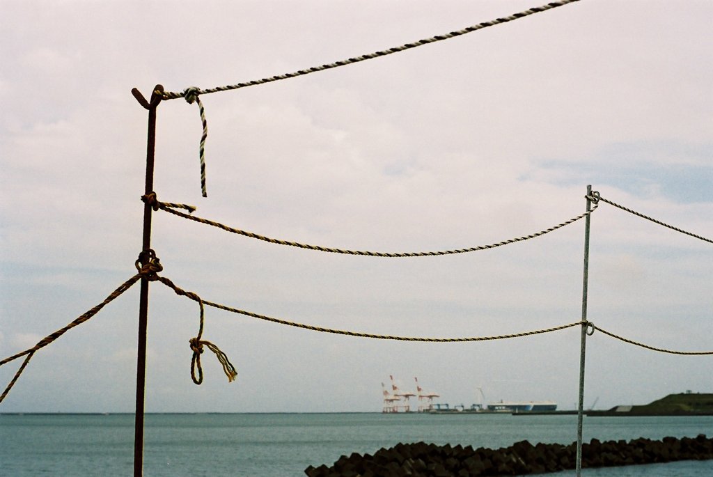 海