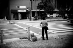 もっふもふ