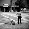もっふもふ