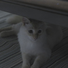 アンニュイ