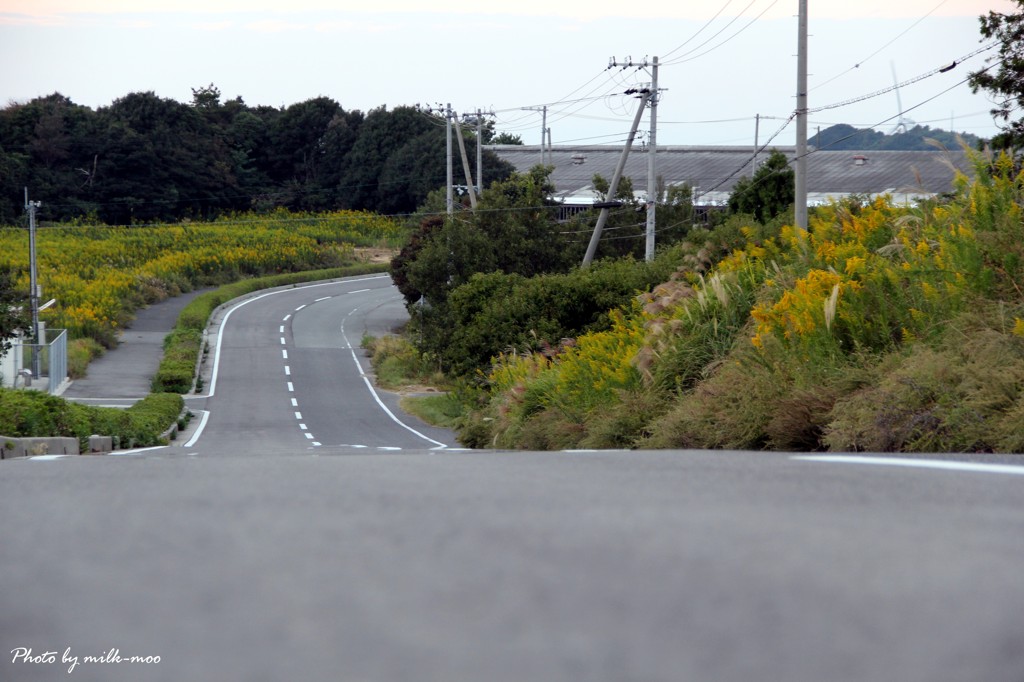 この先には･･･