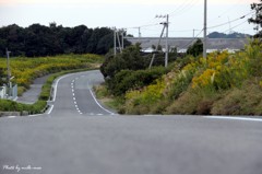 この先には･･･