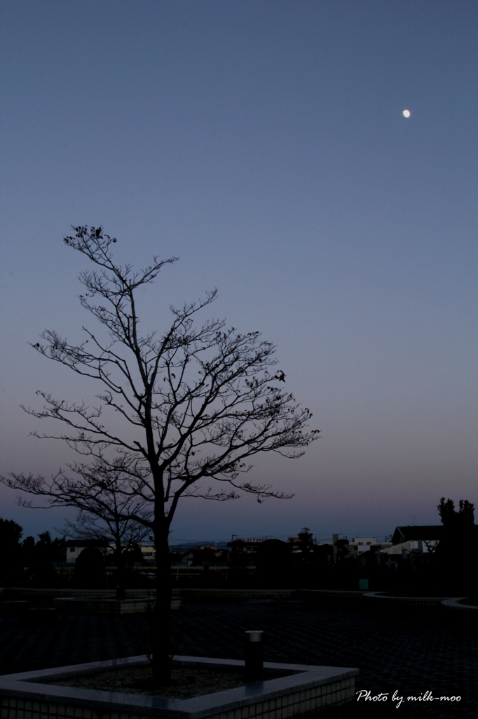 泡沫