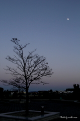 泡沫