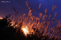 夕陽に染まる世界