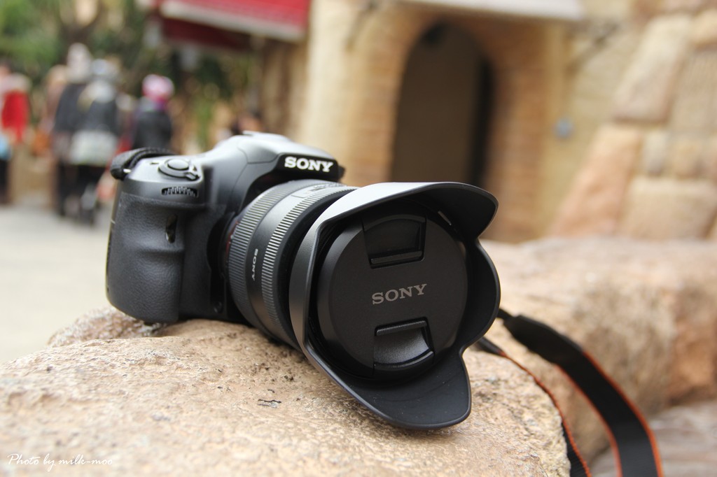 α65　in Tokyo Disney Sea