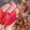 For you.......!!!