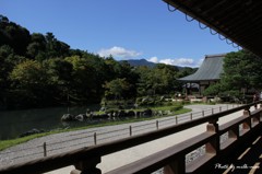 天龍寺
