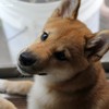 なんですか？