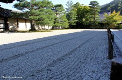 庭園