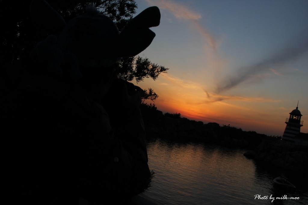 ディズニーシーの夕陽