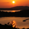 橙