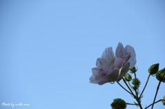 上を向いて