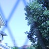 格子から抜けだせば