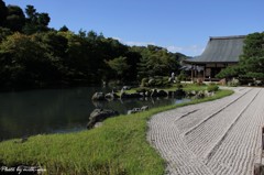 庭園