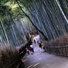 竹林の小径