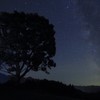 stardust world
