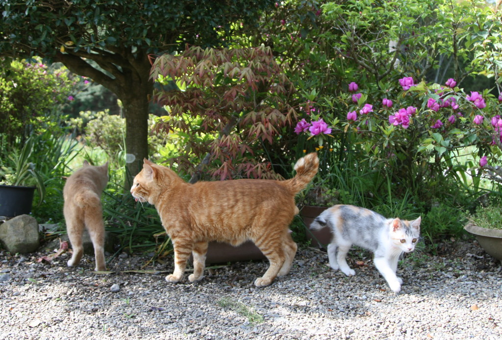 親子じゃないのよ (^O^)