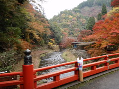 京都神護持入り口