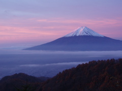 雲上の富士