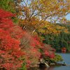 2012紅葉1