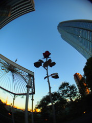 _9150953