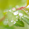 雨雲からの