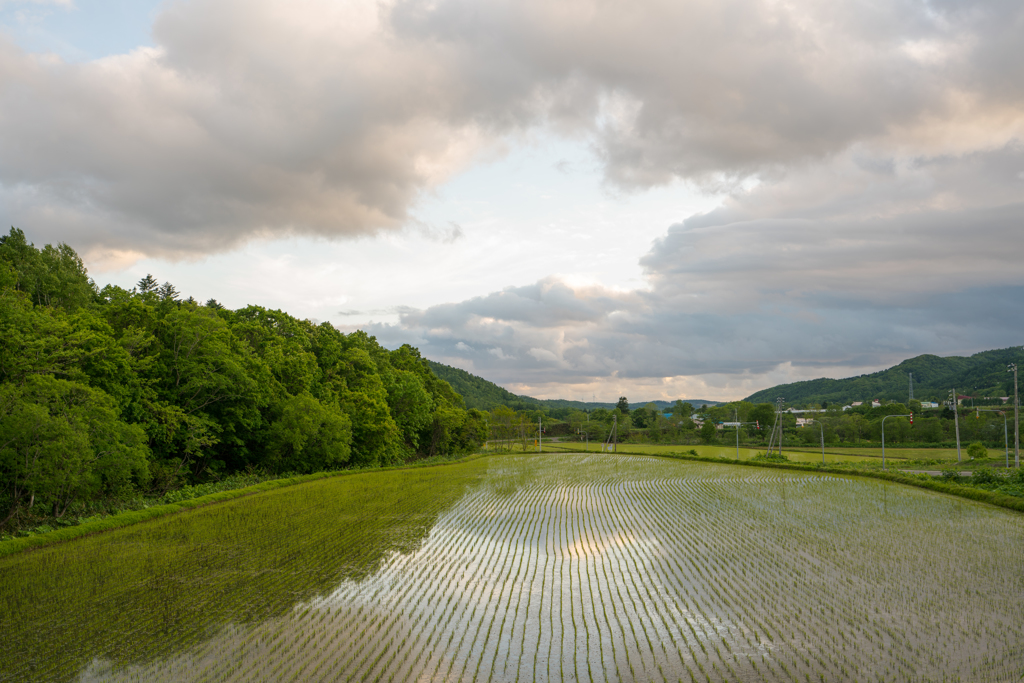 田園