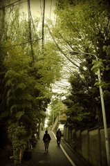 いつもの散歩道