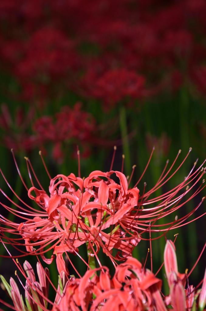 DSC_5753_e