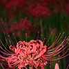 DSC_5753_e