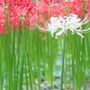 白一点