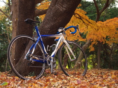 自転車