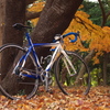自転車