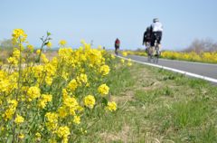 お花見サイクリング2