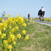お花見サイクリング2
