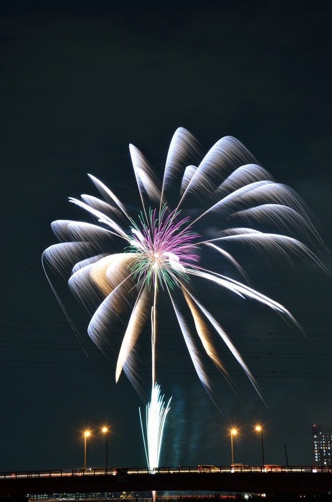 花火6