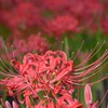 DSC_5756_e