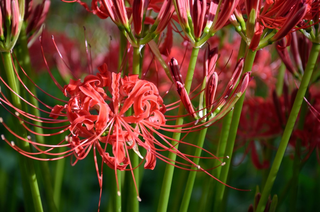 DSC_5762_e