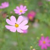 DSC_5675_e