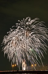 花火8