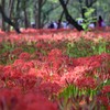 DSC_5771_e